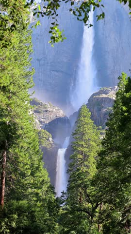 Yosemite Falls seen through the trees at Yosemite National Park in California. Vertical Video.