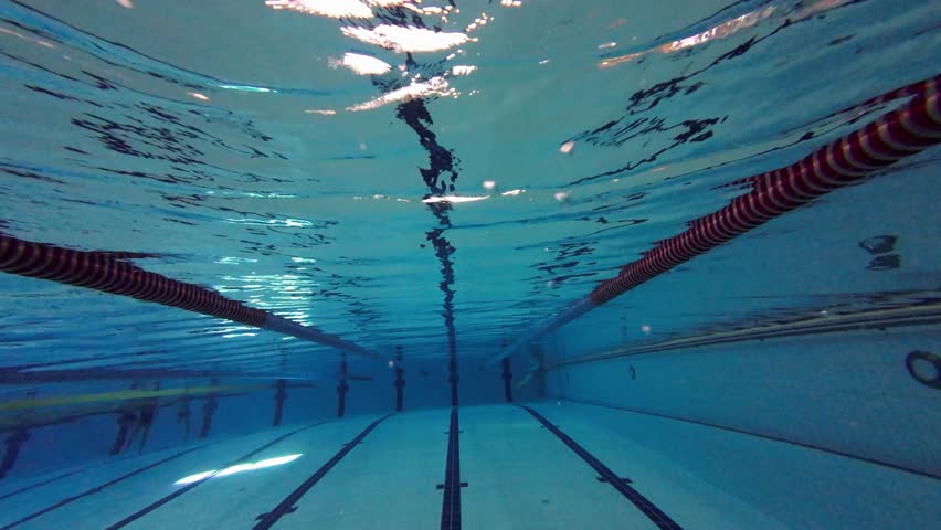 Swimmer girl dives into the water at the start in the pool. Slow motion.