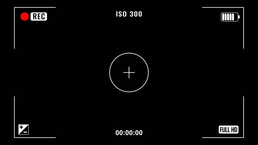 Shutterstock Video