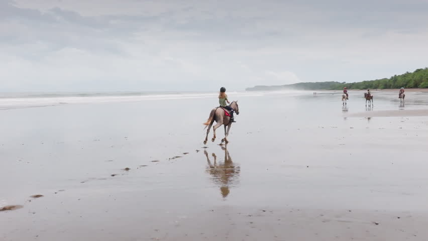 Experience Costa Ricas beauty on a thrilling horseback riding adventure along stunning beaches. Create lasting memories with friends amid vibrant scenery and aweinspiring landscapes