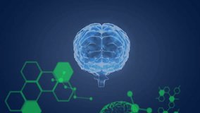 On green code fade-in, 3D holographic brain rotating, revealing structures for display. Hologram, neural, visualization, digital, virtual, futuristic, data - Powered by Shutterstock - Get 15% off with code: PIKWIZARD15