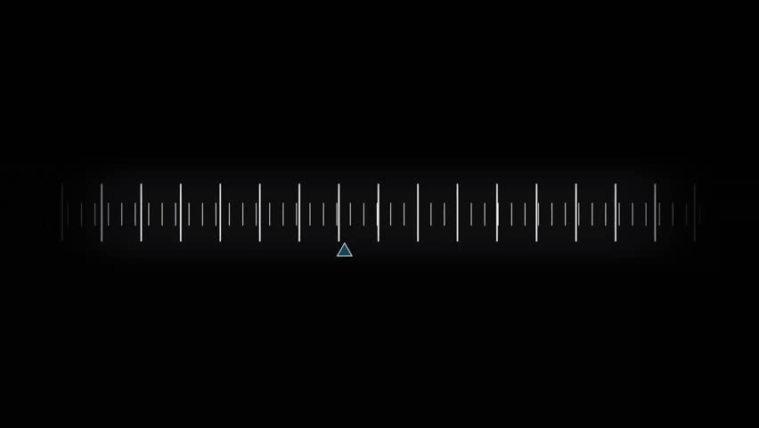 Shutterstock Video
