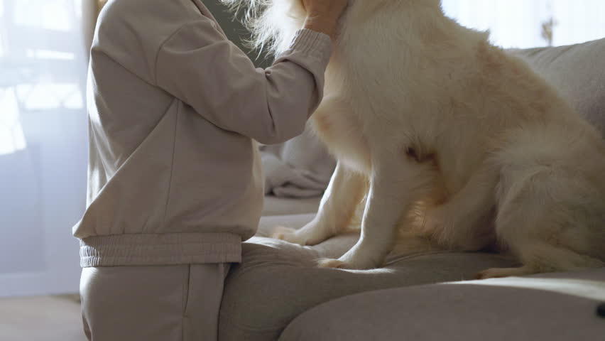 beautiful woman showing affection to golden retriever sitting in cozy bright living room concept of pet care love and wellness joyful home moment dog happiness daytime lifestyle healthy connection
