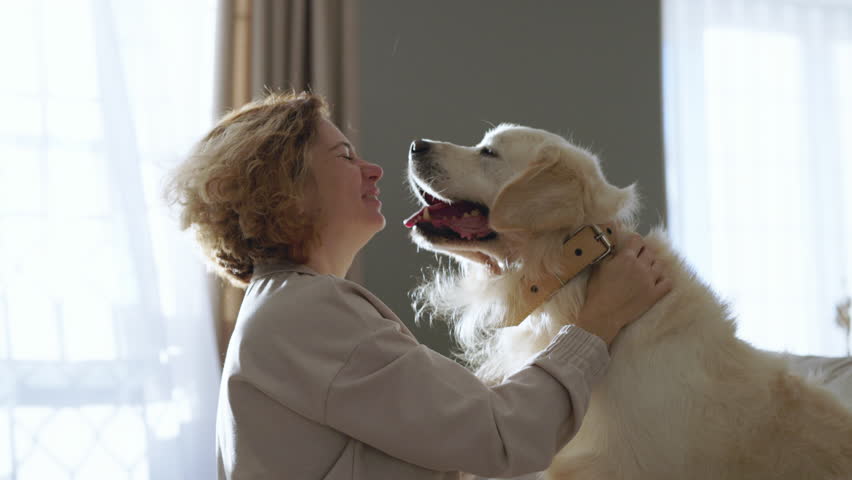 beautiful woman showing affection to golden retriever sitting in cozy bright living room concept of pet care love and wellness joyful home moment dog happiness daytime lifestyle healthy connection