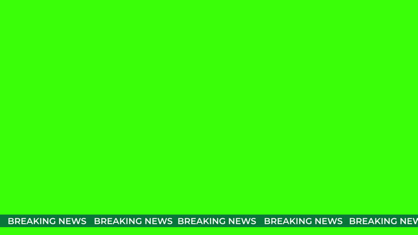 Shutterstock Video