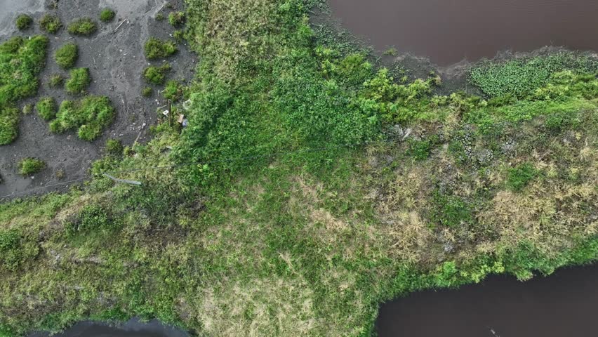 Aerial view showing palm oil mill waste treatment ponds, in a geometric layout separated by greenery