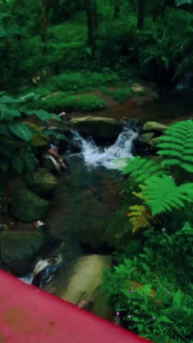 4K UHD footage of a peaceful small waterfall captured from a red bridge, offering a steady long take of serene natural beauty. Shot at 30fps, this tranquil scene is perfect for meditation backgrounds,