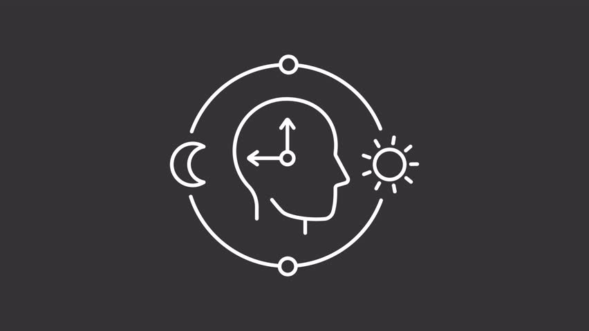 Shutterstock Video