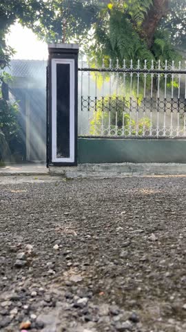 Morning mist over the yard of an Asian house