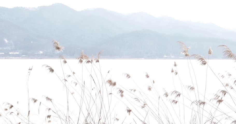 Winter landscape in Gapyeong, Gyeonggi-do, South Korea