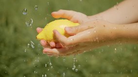Girl washing fresh lemon under running water. Kid rinsing bright and juicy citrus fruit in hands. Child cleaning ripe and yellow lemon outdoors - Powered by Shutterstock - Get 15% off with code: PIKWIZARD15