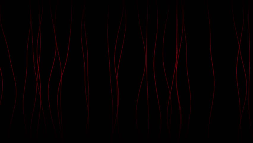 Shutterstock Video