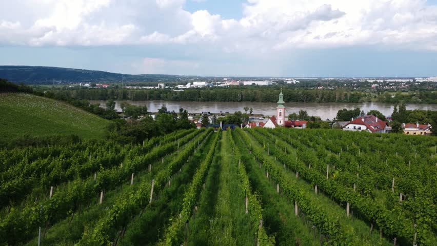 Summer Landscape Near Kahlenberg Hill, Vienna. Aerial View of Vineyards and Danube.Drone Footage of Wine Village in Vienna with Church and Danube Panorama