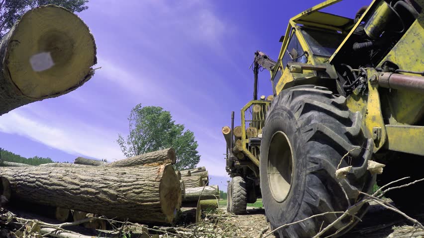 Mechanical Arm is Moving Felled Tree Trunks in a Woods. The old, yellow cabin and black timber log crane show years of hard work. It is a sunny spring day with a gentle breeze and soft clouds. 