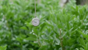 silver pocket watch on chain sways gently in front of leafy plants - Powered by Shutterstock - Get 15% off with code: PIKWIZARD15