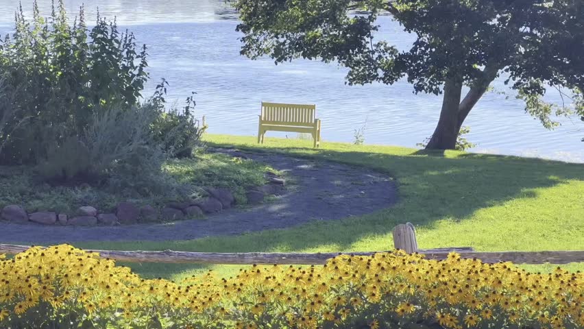 Lakeside Garden with Yellow Bench and Black - eyed Susans