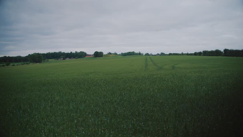 Lush green field under cloudy sky, rural landscape of Langeland, Denmark