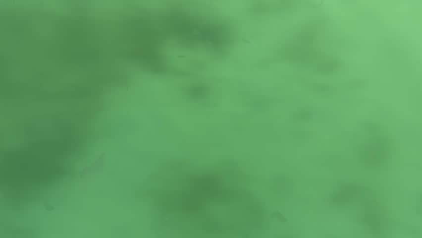 green abstract background. Green because there is a lot of moss in the sea