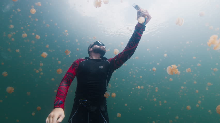 Influencer creates content in an unique destination. Man swims underwater in the lake full of jellyfish and films content with action camera. West Papua, Misool, Indonesia