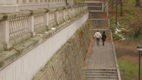A young couple walks away, descending a path with stairs in a vast urban park. They are small figures moving through a large landscape of autumn trees and city architecture on a quiet journey together - Powered by Shutterstock - Get 15% off with code: PIKWIZARD15