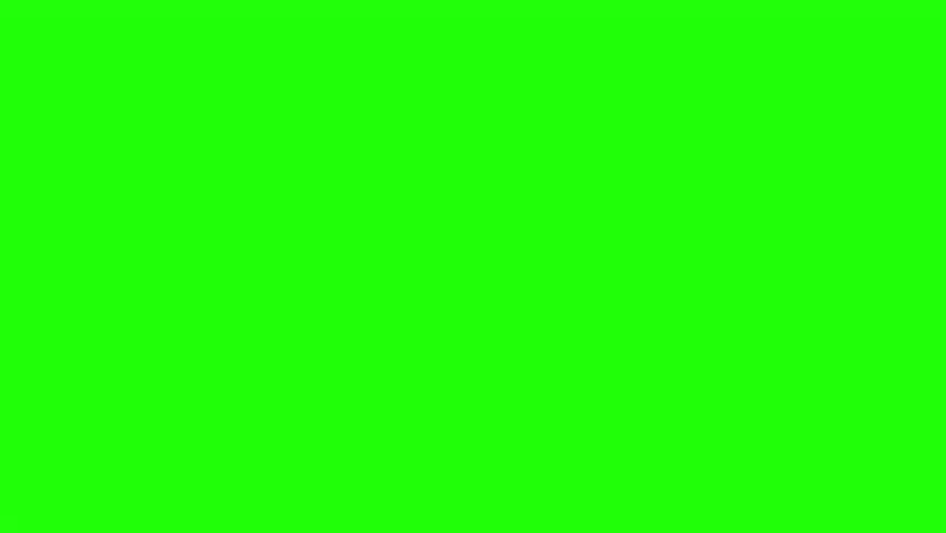 Shutterstock Video