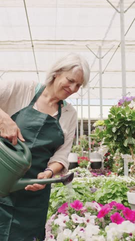 Gardener watering flowers in greenhouse slow motion montage