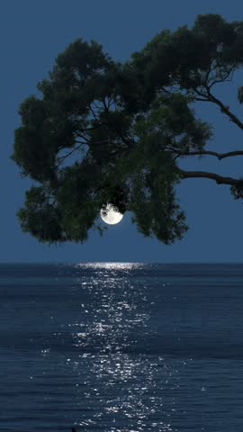 Full moon shines through a silhouetted tree branch, its light creating a brilliant sparkling path across dark, rippling ocean or lake water. Serene night.