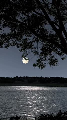 Full moon shines through silhouetted tree branches, its light creating a brilliant sparkling path across a dark lake or river. Serene, romantic night landscape.