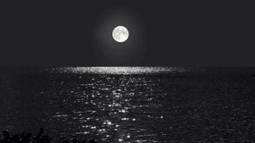 moon, fullmoon, night, sky, grass, reeds, field, meadow, plant, silhouette, dark, light, shadow, nature, landscape, serene, calm, peaceful, mysterious, beautiful, outdoor, evening, twilight, atmospher - Powered by Shutterstock - Get 15% off with code: PIKWIZARD15