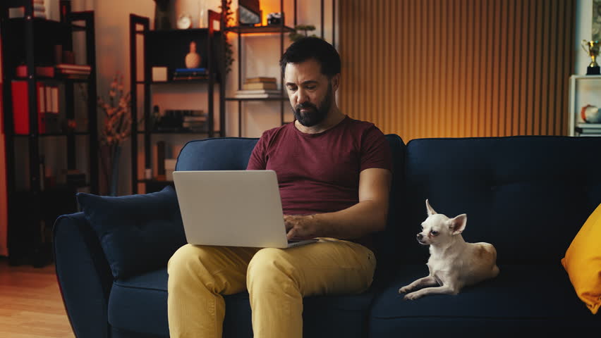 Middle-aged man watching video on laptop and petting Chihuahua dog, pet friend