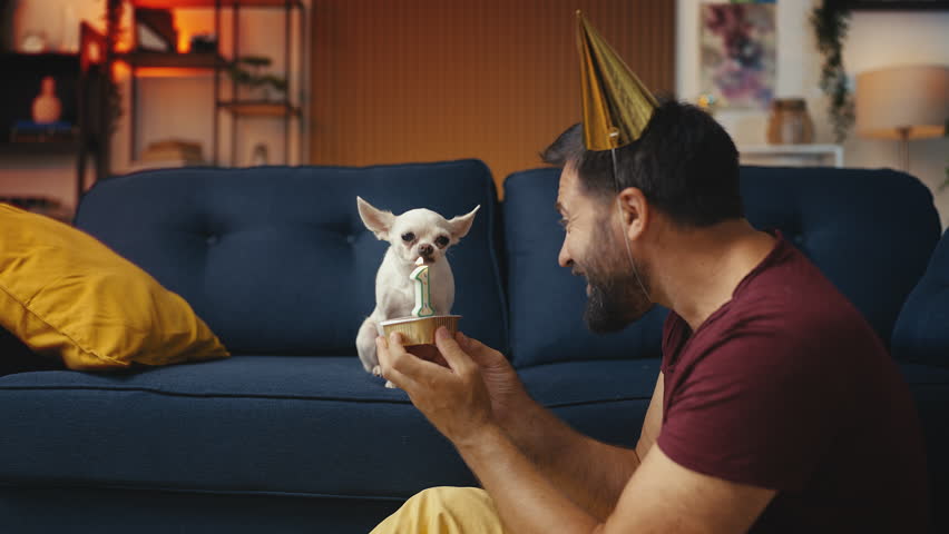 Middle-aged man in party hat celebrating dog's birthday, presenting festive food