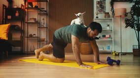 Middle-aged man doing push-ups with Chihuahua dog on back, fun home workout - Powered by Shutterstock - Get 15% off with code: PIKWIZARD15