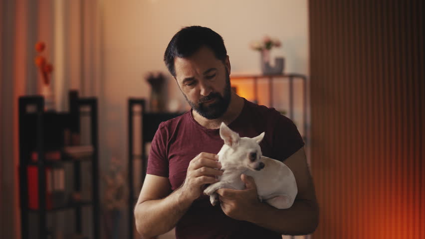 Shutterstock Video