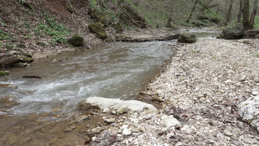summer season, river canyon with rocky banks, full-flowing water