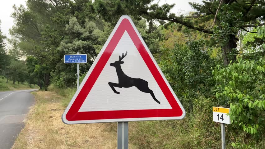 Deer Crossing Sign On Rural Road