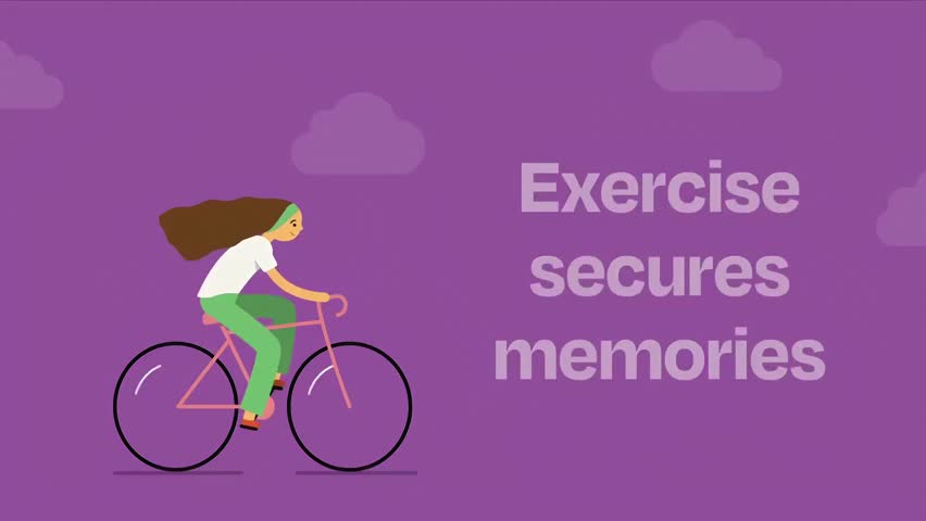 Shutterstock Video