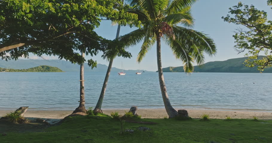 Sailboats gliding across Savusavu Bay, surrounded by swaying palm trees and vibrant vegetation, create a picturesque scene on a sunny summer day in Vanua Levu, Fiji. Amazing nature travel background