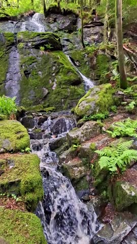 Majestic waterfall cascading through lush green forest on Mount Floyen in Bergen, Norway