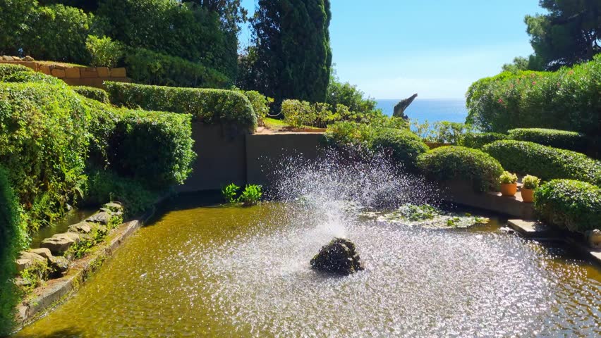 Tranquil Garden Pond with Fountain and Ocean View in Lush Greenery