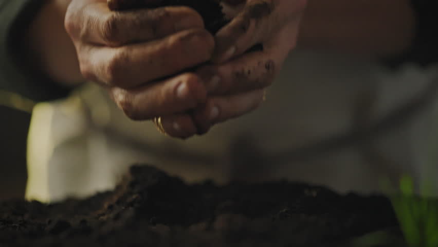 Two hands gently plant young sprouts into soil, demonstrating care and connection to nature. This nurturing act takes place indoors during the spring season, emphasizing growth and renewal