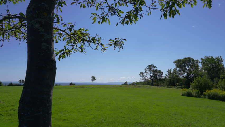 Serene green field under blue sky with clouds and tree leaves in nature
