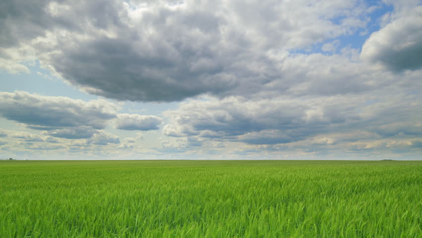 Time lapse. A Beautiful and Vibrant Green Field Spreading Wide Under a Gorgeous Cloudy Sky Above