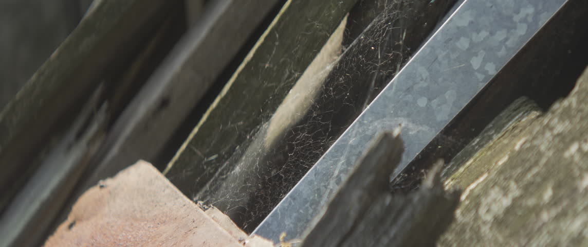 Shiny spider web on light breeze 5.7K anamorphic video