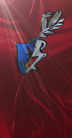 Flag of Mielec County Subcarpathian Voivodeship, Poland, Loop. 4K Vertical