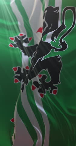 Flag of province of East Flanders, Flemish Region, Belgium. Loop. 4K Vertical