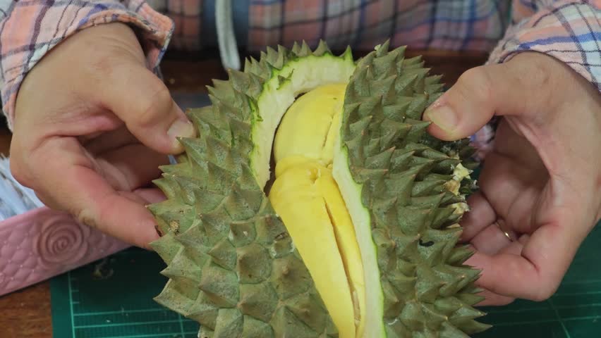 fresh organic durian in garden