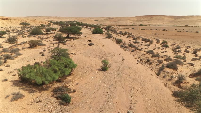Drone flies low along sandy track through arid desert scrubland near Laayoune, Morocco, Africa, Adventure, road trip, exploration. Aerial forward
