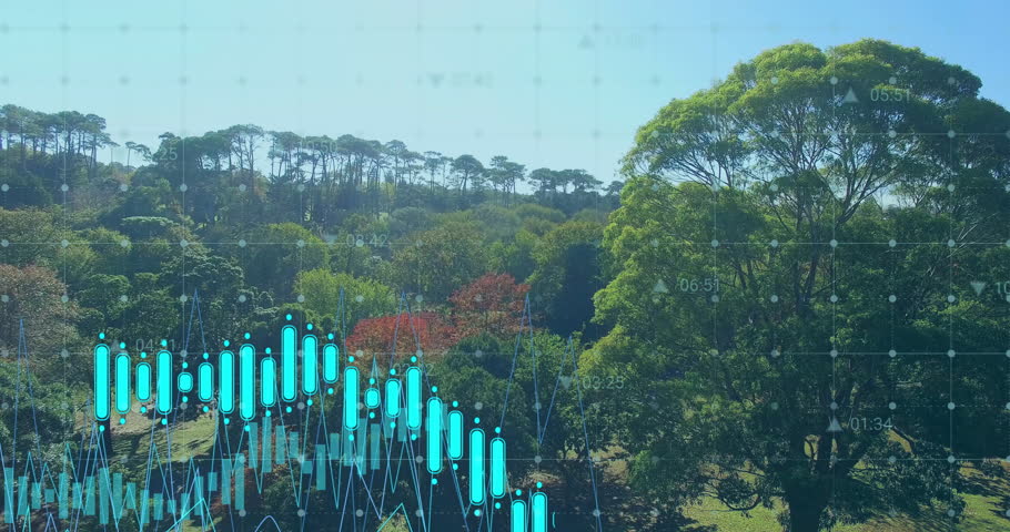 Shutterstock Video
