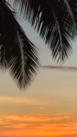 Tropical sunset with silhouette on palm tree Kota Kinabalu Sabah Malaysia