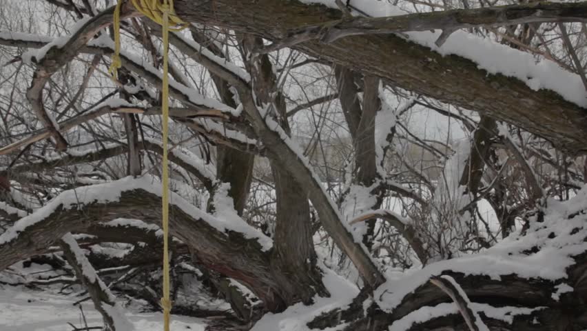 A fun tree swing after a snowfall